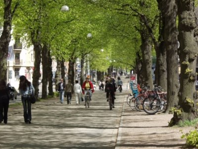Forum image