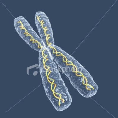 Unless the cell is in the chromosomes in cell. Unless the cell is in the